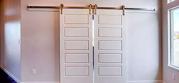 Glass Barn Door with Installation Hardware Kit Gainesville